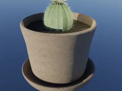 Cactus 3D model purchase