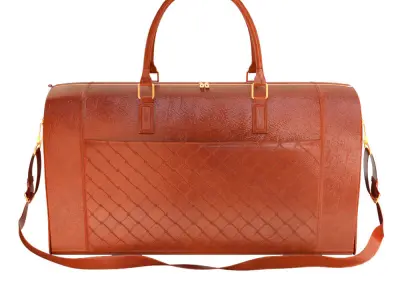 bag 2 Colour 3D model