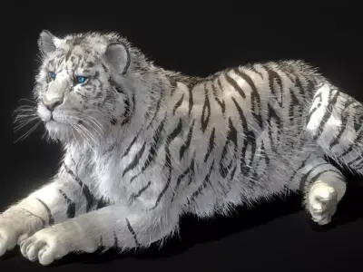 White Tiger 3D model purchase
