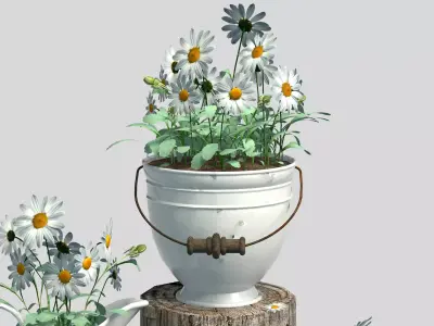Garden Decor White Daisies 3D model