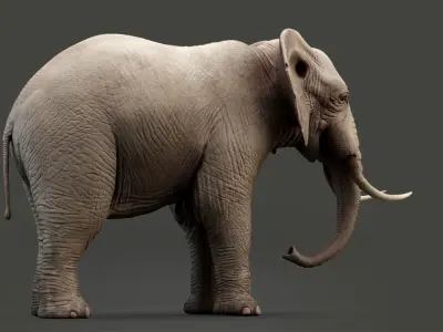 Animated Elephant 8K Low-poly 3D model