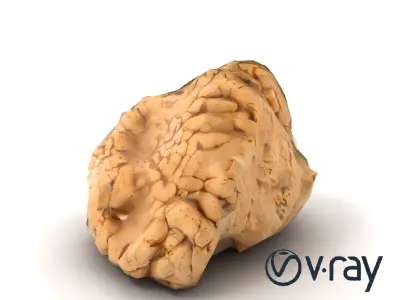 Natural Stalactite Rock Formation model pack Low-poly 3D model