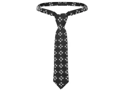Suit Tie  Low-poly 3D model
