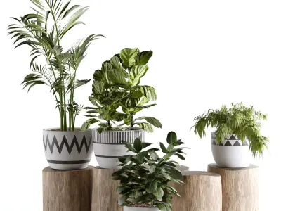 plants collection set 03