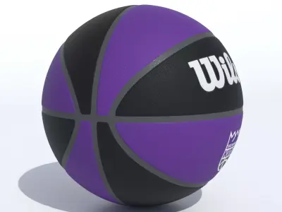 Wilson Sacramento Kings Basketball  3D model