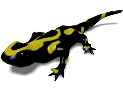 Salamander Model lizard Low-poly 3D model