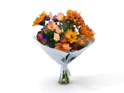 Vibrant Floral Bouquet model pack Low-poly 3D model