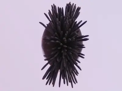 Mohawk Dreadlocks Low-poly 3D model