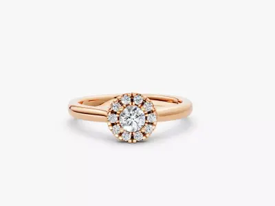 ZDR03-20CT Halo round diamond engagement ring 20ct  3D print model