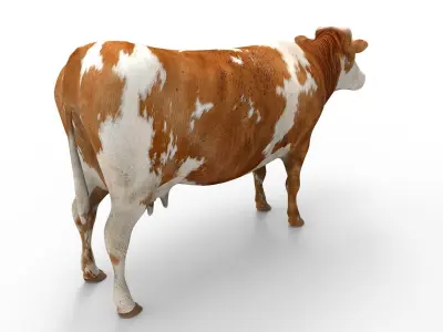 Cow game ready Low-poly 3D model