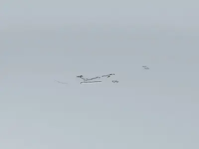 DAYTONA INTERNATIONAL SPEEDWAY 3D model