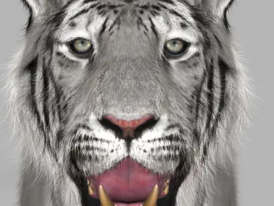 The Ultimate CGI Tiger - 3d model 3D model