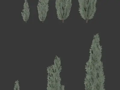 Thuya tree Set - 7 models 3D model