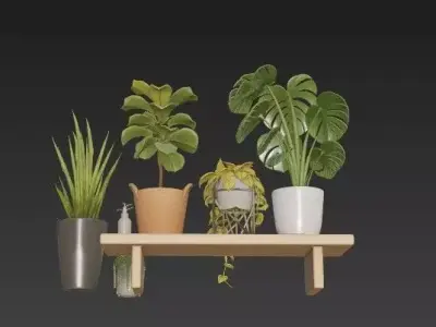 Modern Indoor Houseplant Collection - 3D Potted Plants Set 3D model