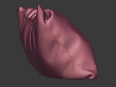 Floral Pillow  3D model