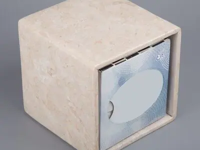 Coro Champagne Magwood Tissue Box Cover Free 3D model