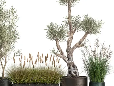 Outdoor plants in a rust flowerpot for the interior 1000 3D model