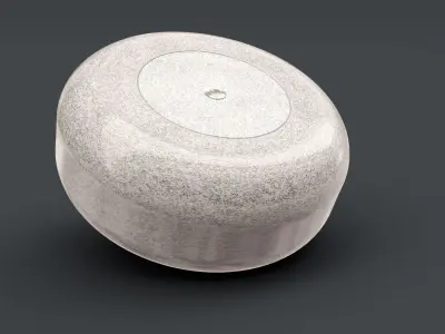 Curling Stone 3D model