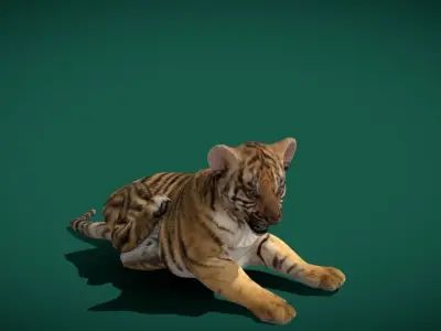 Baby Tiger Cub Animal Low-poly 3D model