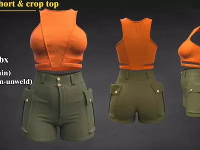 cargo short and  crop top  3D model