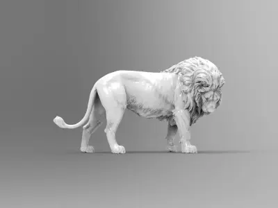 lion 7 3D model