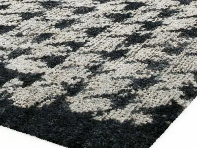 Baxter SCARLET PIED DE POULE CARPET 3D model