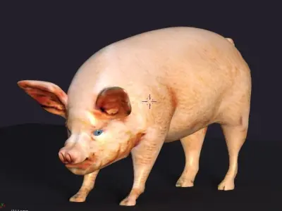 pig lowpoly Low-poly 3D model