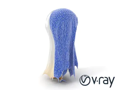 Translucent Ghost Tattered Appearance model pack Low-poly 3D model