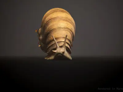Land snail3 - Game Ready Low-poly 3D model Low-poly 3D model