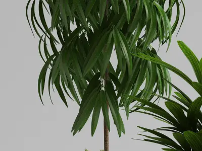 plants set 134 3D model