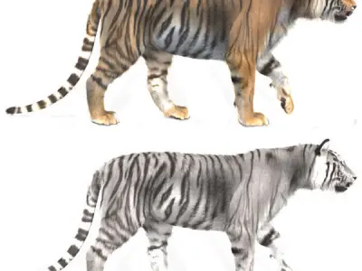 Unique Feline Pack - 3d lion model 3D model