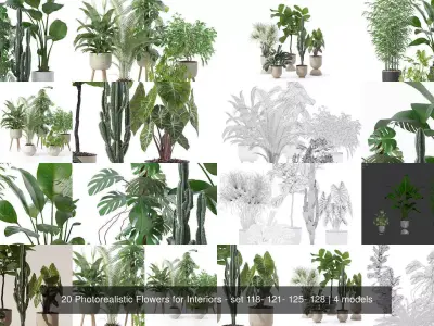 20 Photorealistic Flowers for Interiors - set 118- 121- 125- 128 3D Model Collection