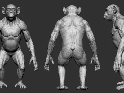 Chimpanzee 3D model buy
