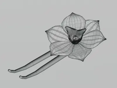 Vanilla flower Low-poly 3D model