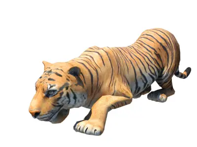 Bengol Tiger rigged and  Animated 3D model