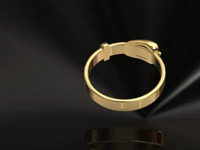 Belt Ring 3D  3D print model