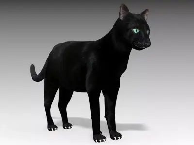 Black Cat Animated Low-poly 3D model