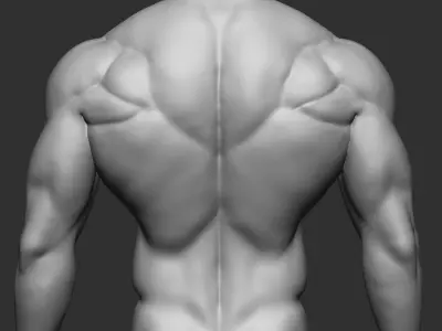 fitness bodybuilder  3D print model