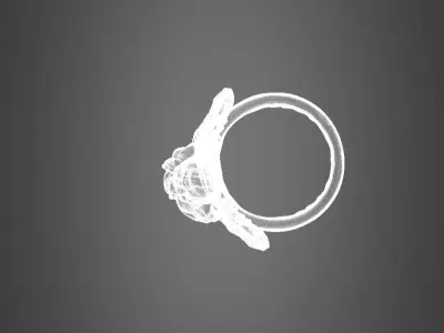Angelring 3D print model