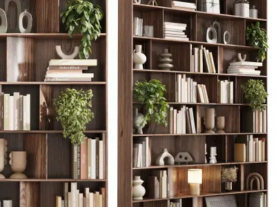 wooden Shelves Decorative With Plants and Book  Low-poly 3D model