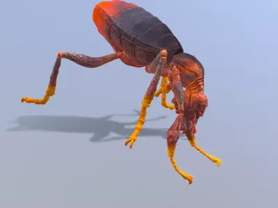 BEETLE Bug Teleport Fbx Png 3D model