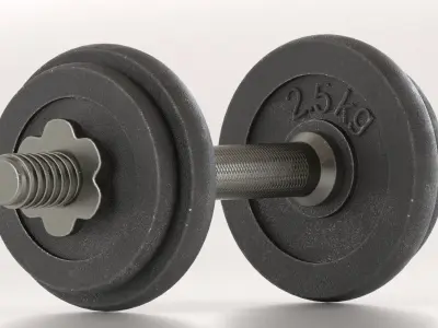 Metal Dumbell  3D model