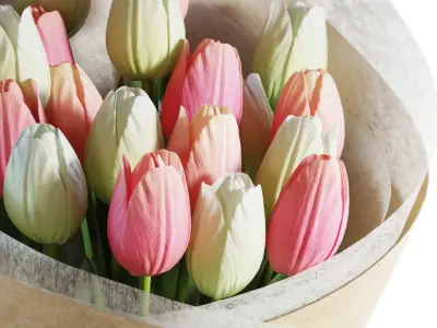 Flower Set 20 - Pink and White Tulips Bouquet 3D model