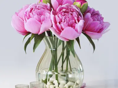 Flowers Peony 3D model