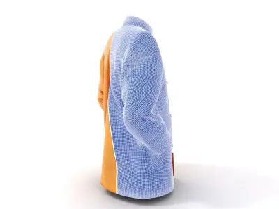 Golden Embroidered Jacket model pack Low-poly 3D model