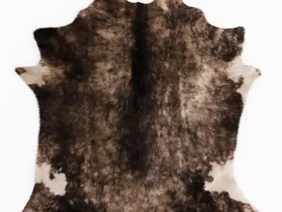 Leather Cowhide Rug 3D model