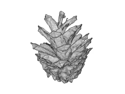 Photorealistic 3D scan of pine conifer cone Low-poly 3D model