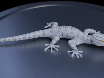 3D Gecko Low-poly 3D model