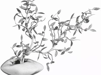 bouquet 3D model 14