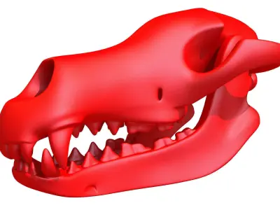 Printable Dog Skull 3D model